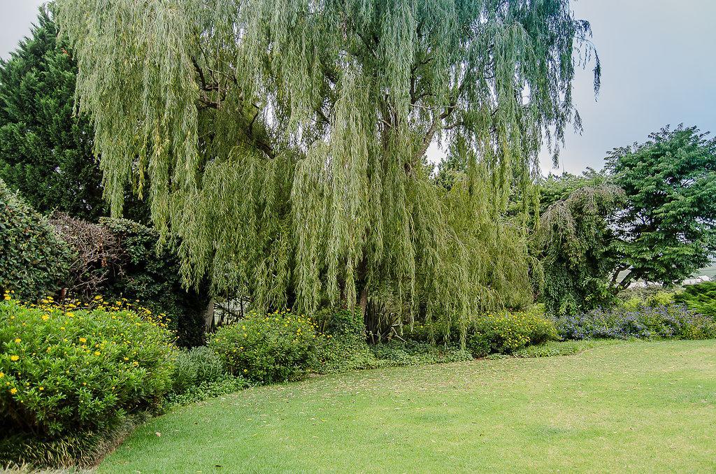 Glen Ormond Country House Henburg Park Exterior foto